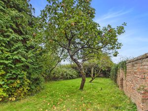 Gardens- click for photo gallery